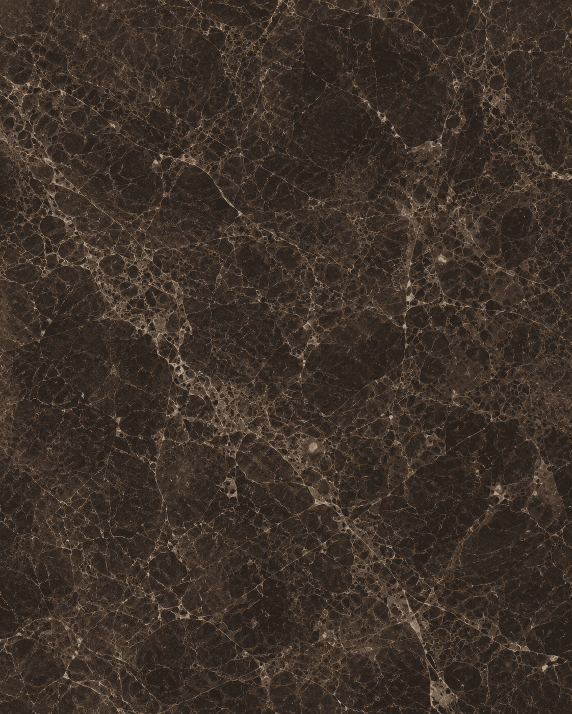Emperador Dark slab photo