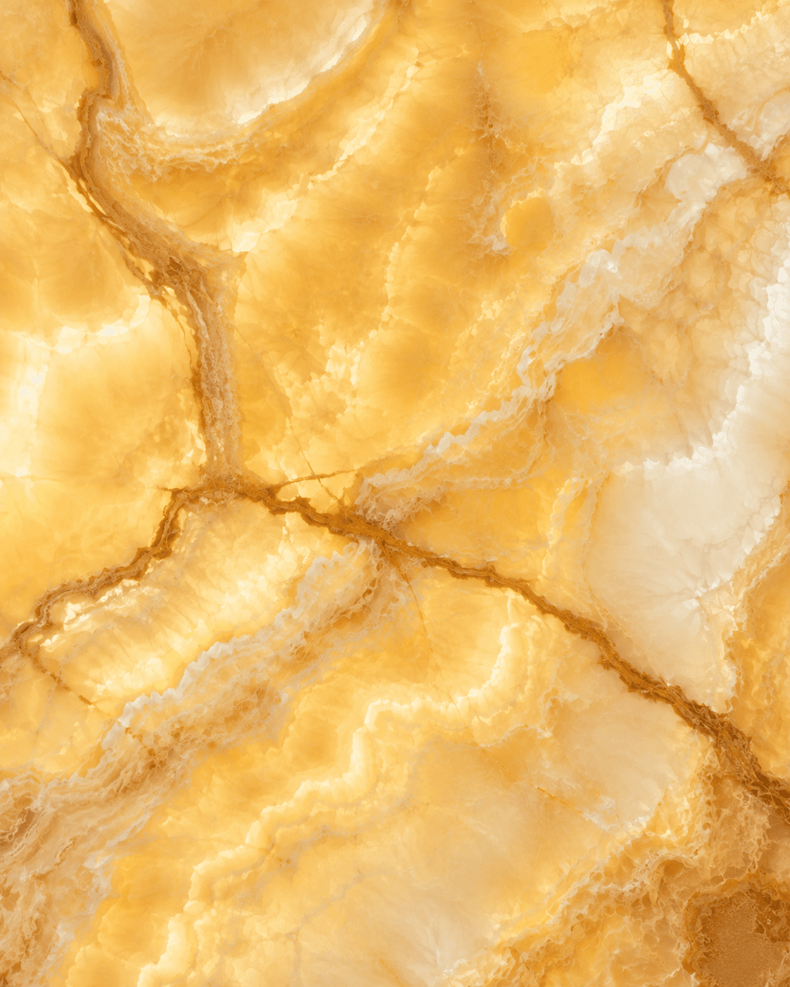 Onyx Honey slab photo